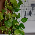 Casa D\'Artista - Charming Apartment + Parking