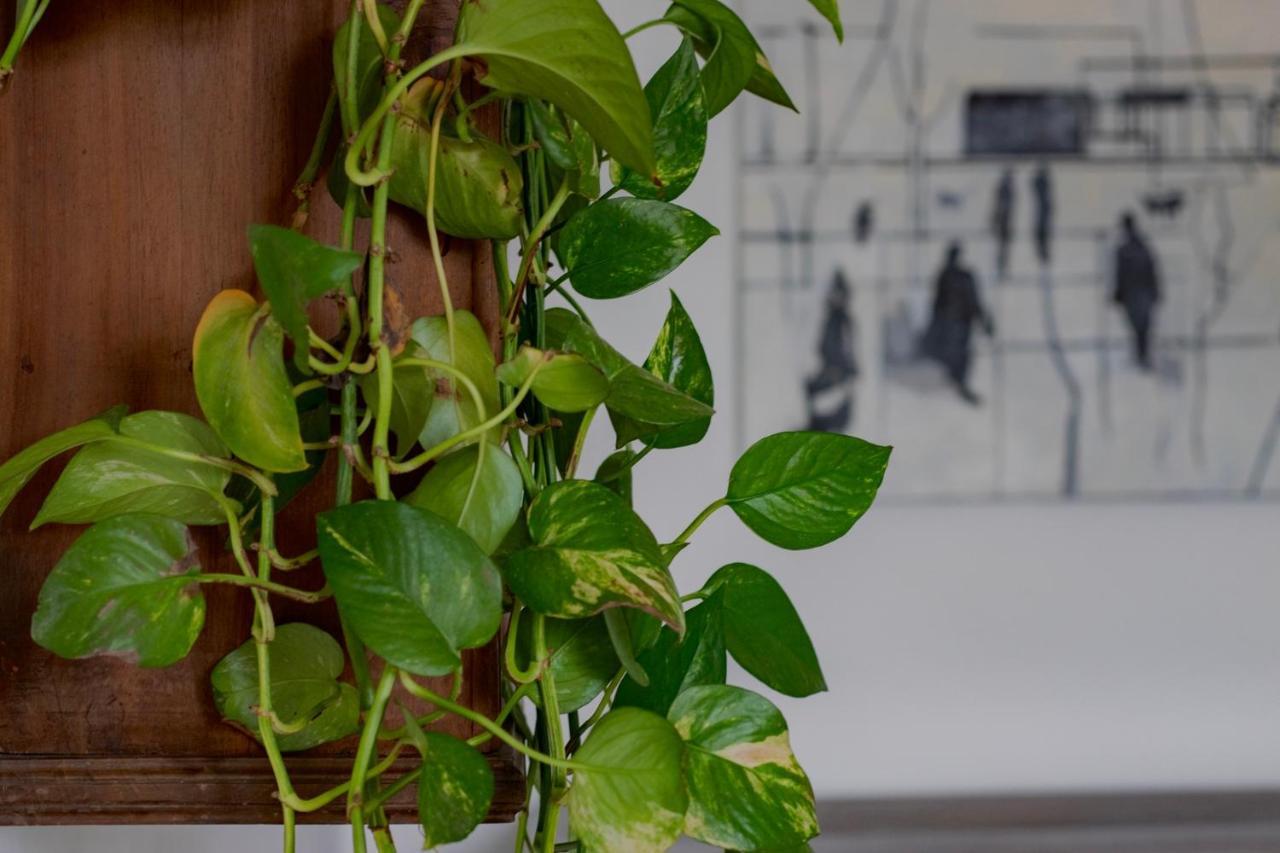 Casa D'artista - Charming + Parking Torino